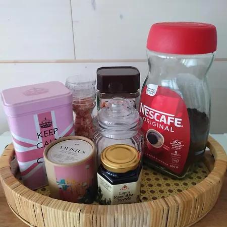 Tiny House In Appartement Hailuoto